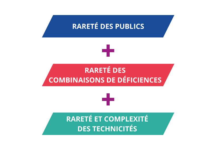 Handicap rare est égale à la combinaison suivante : rareté des publics + rareté des combinaisons de déficiences + rareté et complexité des technicités